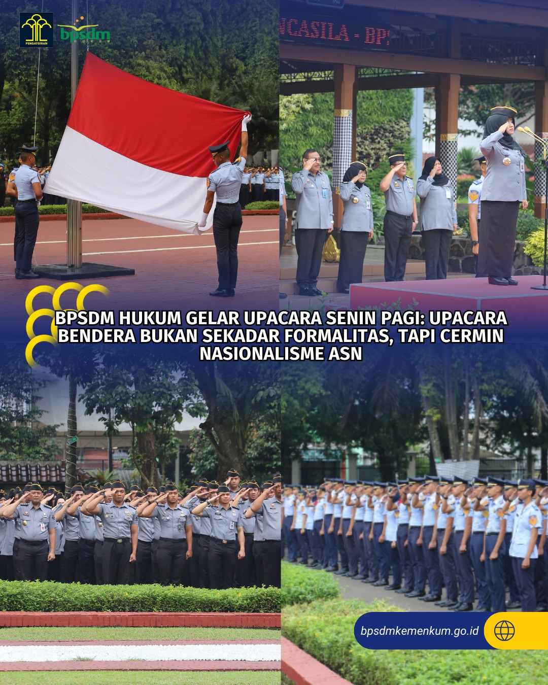 WhatsApp Image 2025 05 26 at 16.44.45