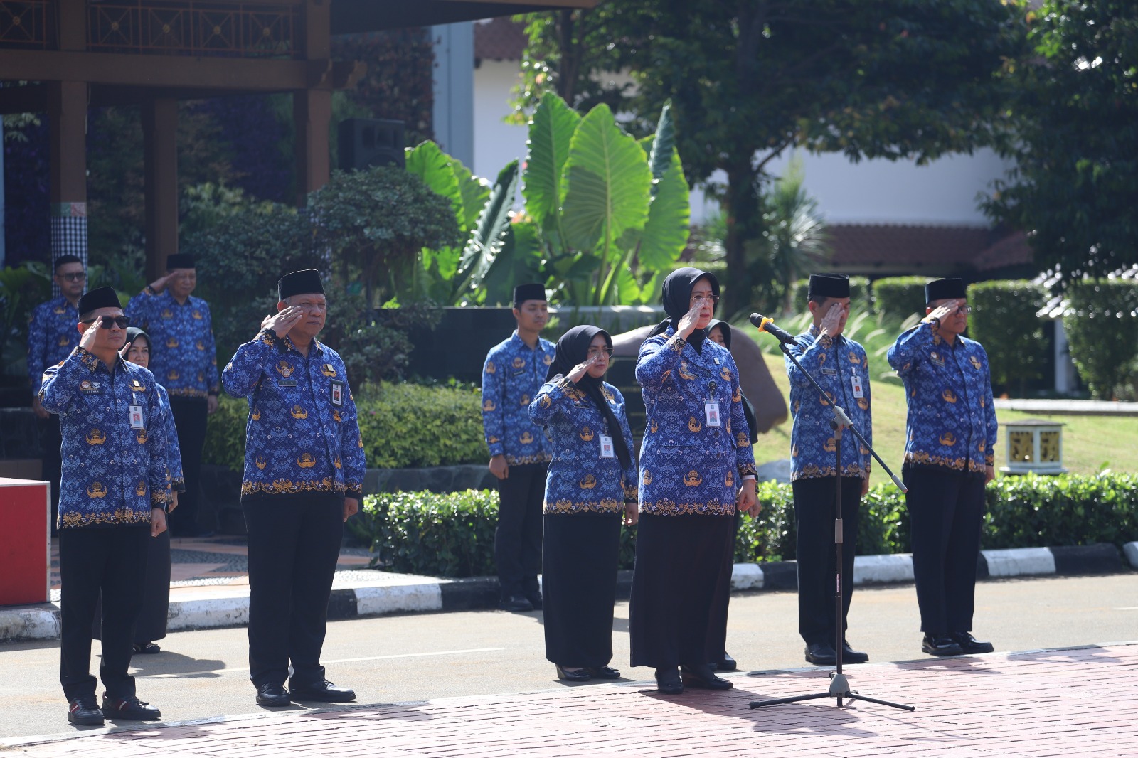 WhatsApp Image 2025 11 17 at 13.52.54 3