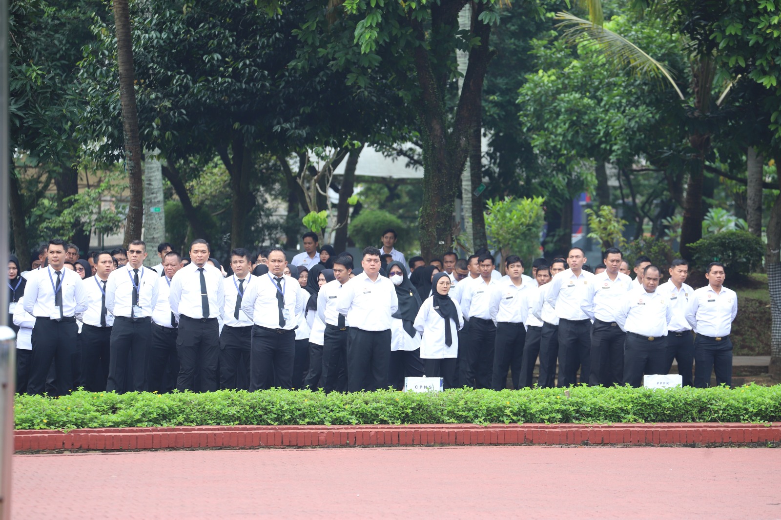 WhatsApp Image 2025 11 24 at 13.48.45 7