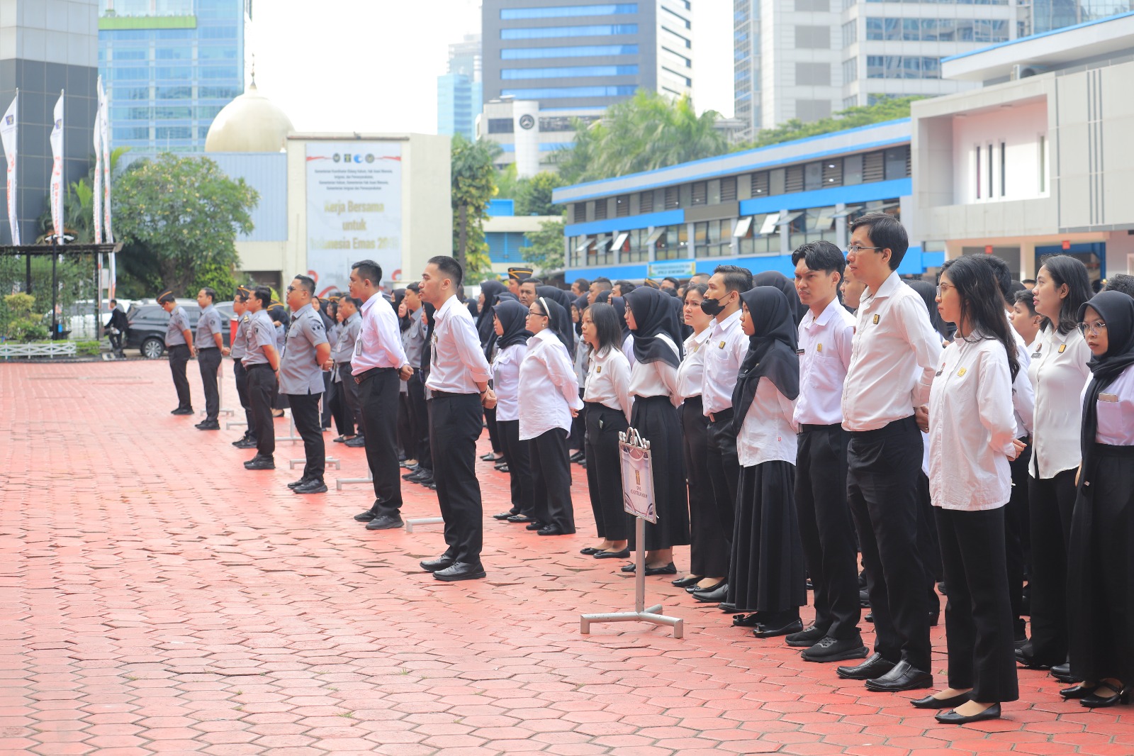 WhatsApp Image 2025 12 08 at 11.11.17 3