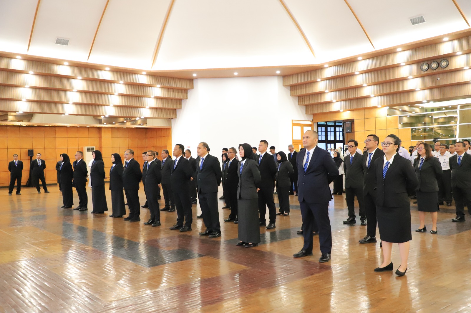 WhatsApp Image 2026 02 25 at 16.26.46 8