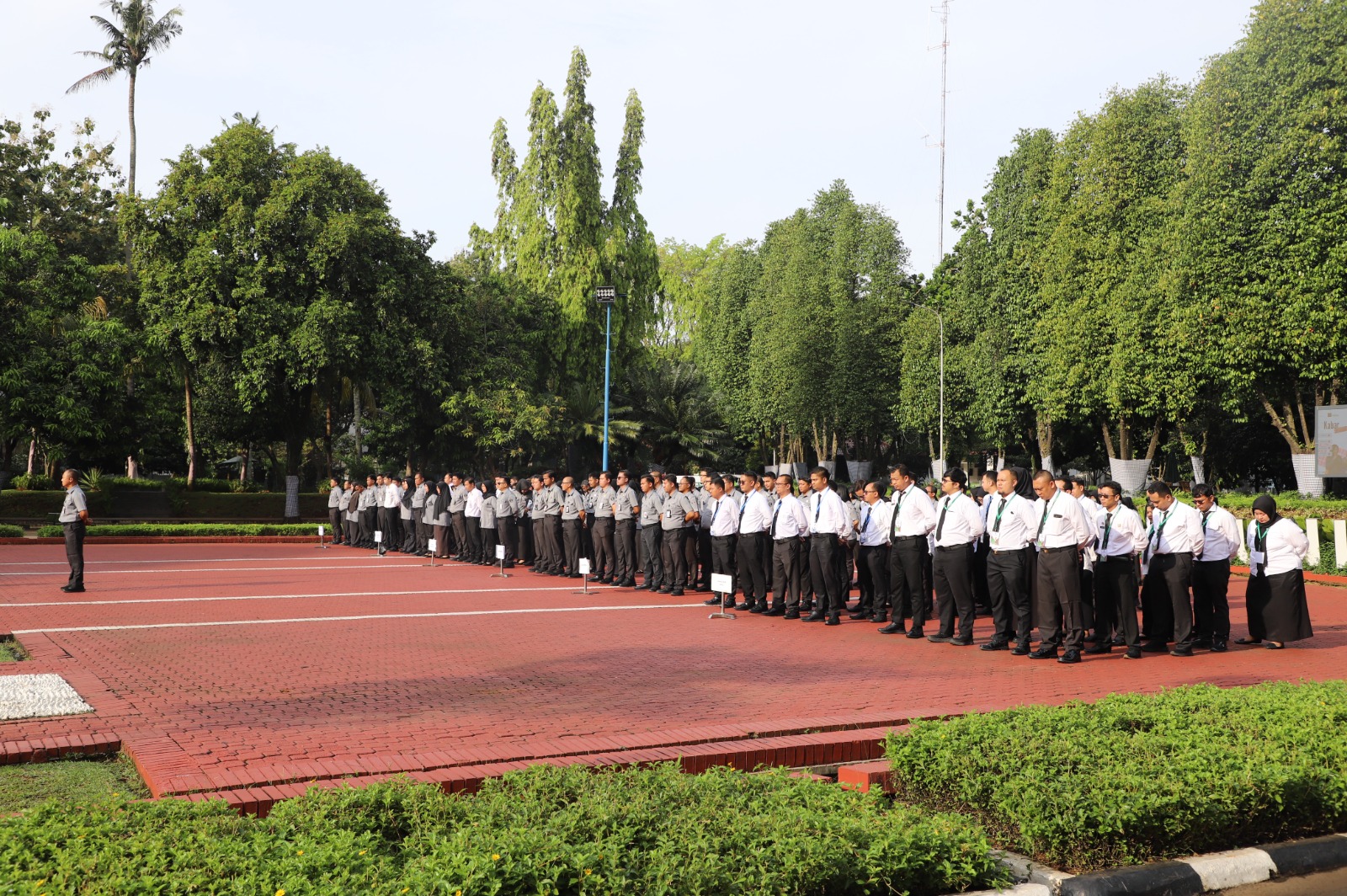 WhatsApp Image 2026 04 06 at 09.17.38