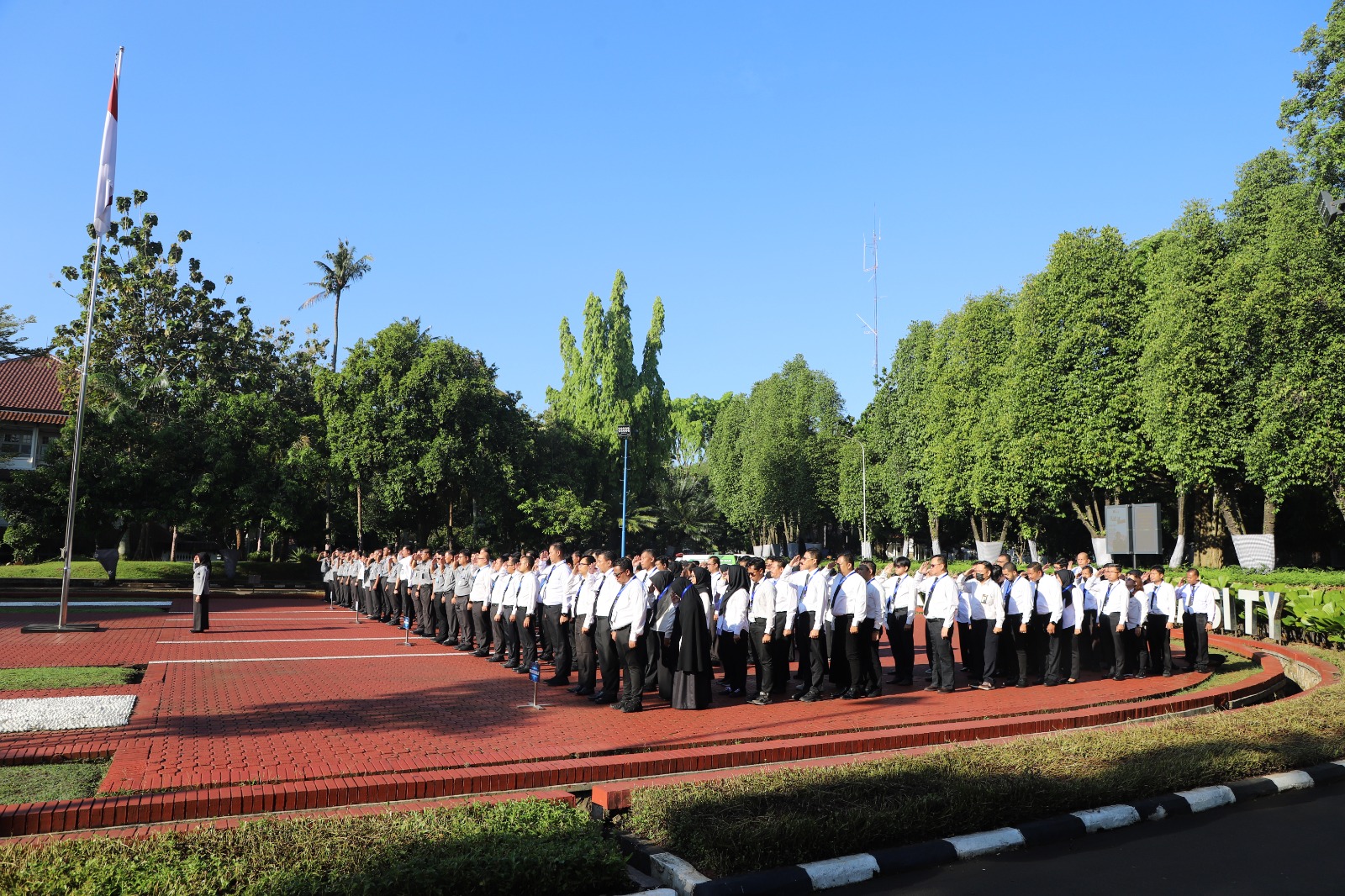 WhatsApp Image 2026 04 13 at 09.04.01 1