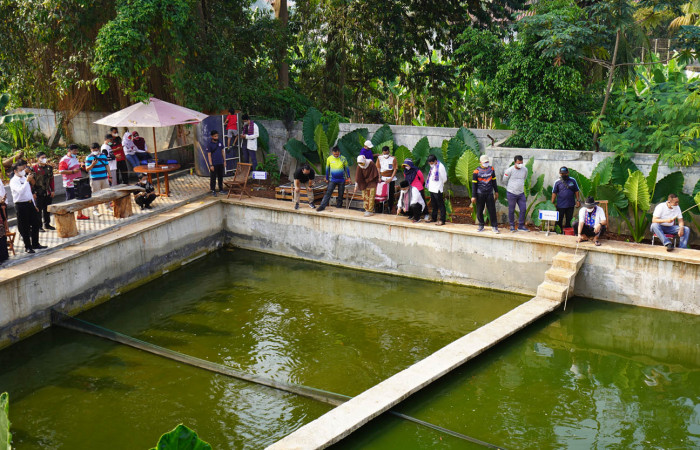 KOLAM IKAN
